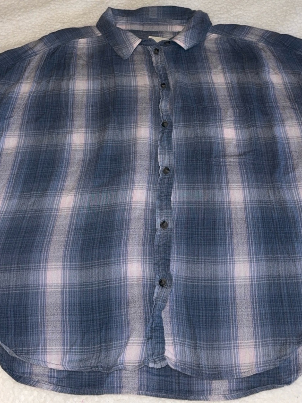 American Eagle Outfitters Blue and White Plaid Button-Down Shirt